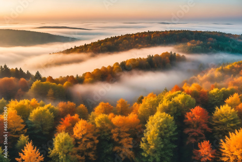 Aerial photography of autumn forests