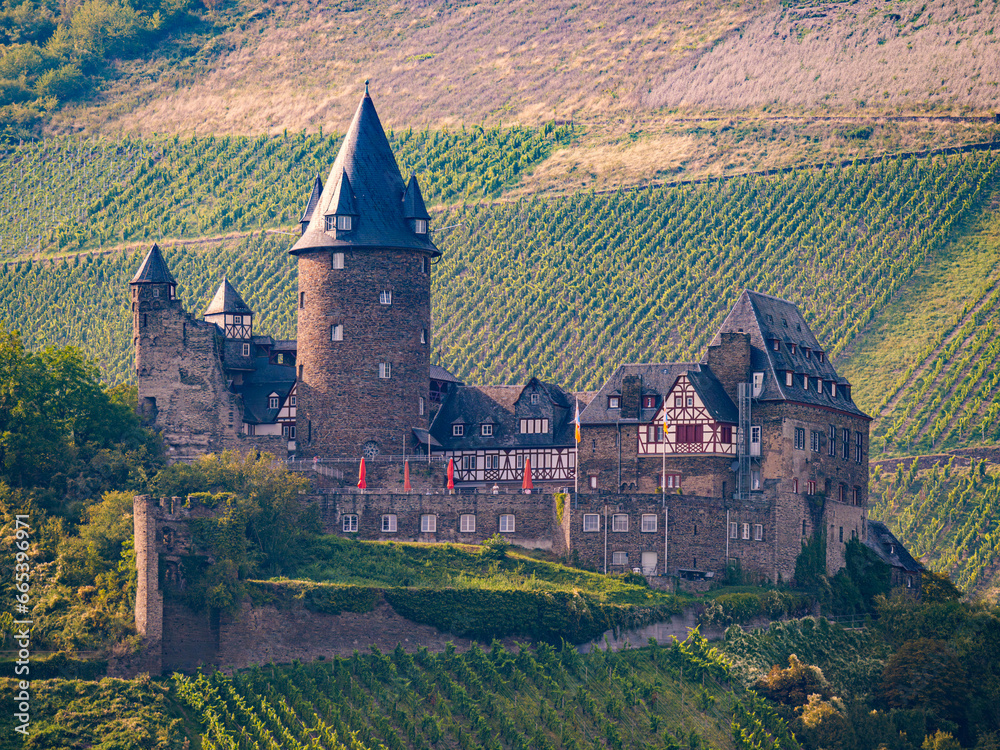 Castle Hotel In Vineyards