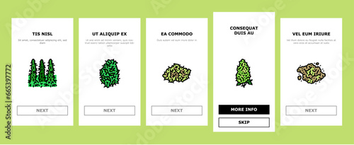 cannabis plant leaf weed hemp onboarding mobile vector. marijuana drug, medical, medicine natural, nature herb, smoke health, organic green cannabis plant leaf weed hemp Illustrations