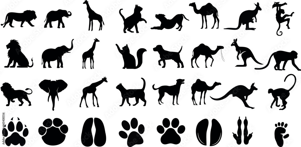  animal silhouettes Vector illustration collection, white background. Features lion, giraffe, dog, camel, elephant, cat, and more. Perfect for wildlife, zoo, safari, and jungle themes.