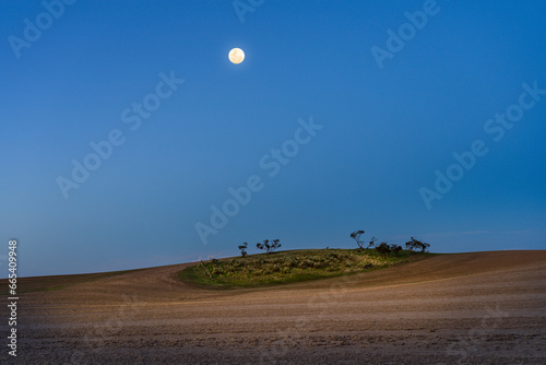 A full moon rising in a clear blue sky over a small rocky patch in a ploughed paddock photo