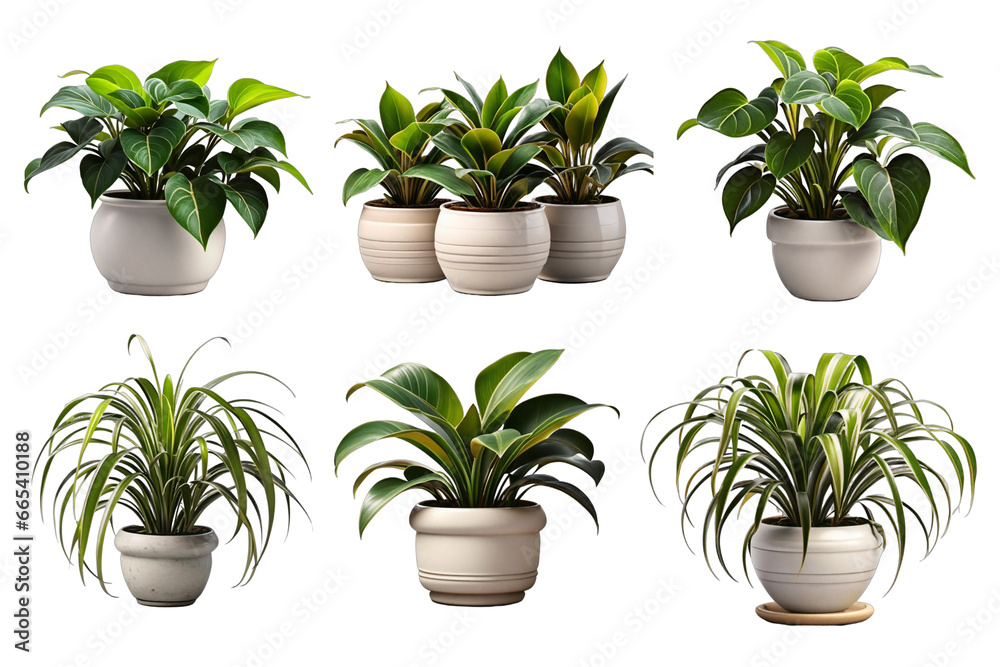 Collection of different houseplants showcased in ceramic pots with a transparent background. Generated by AI