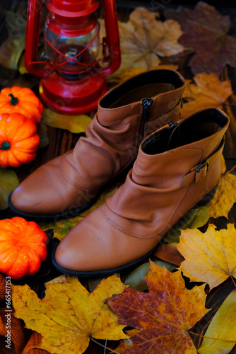 stilllife shoes in autumn concept