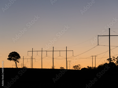 Telegraph poles and wires silhouetted against early morning light