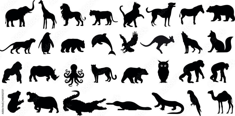Silhouettes d’animaux diverses, illustration vectorielle sur fond blanc. Mettant en vedette des mammifères, des oiseaux, des reptiles, des créatures marines. Comprend chien, chat, cheval, aigle