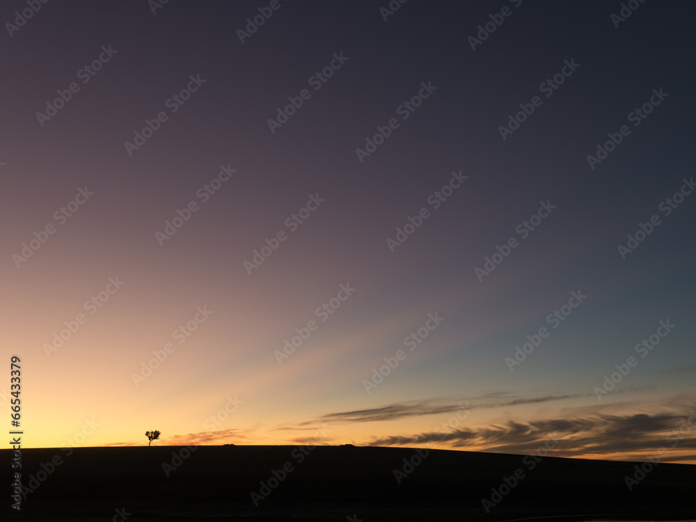 Large sky after sunset with sun's rays and a lone tree Large sky after sunset with sun's rays and a lone tree