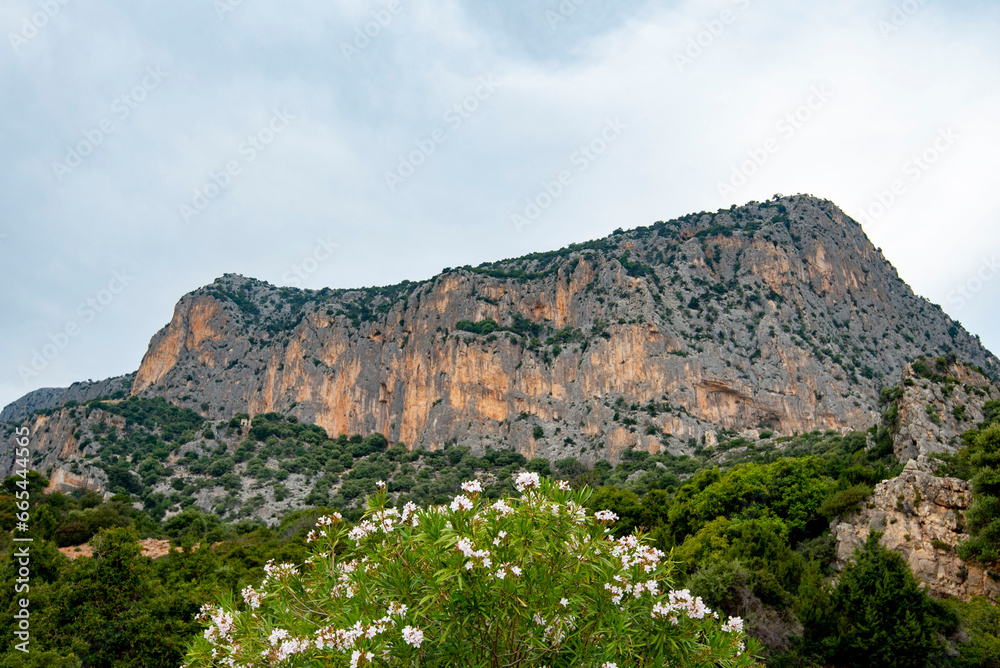 Obraz premium National Park of Gulf of Orosei and Gennargentu - Sardinia - Italy