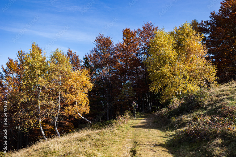 Autunno all'oasi Zegna Autunno all'oasi Zegna