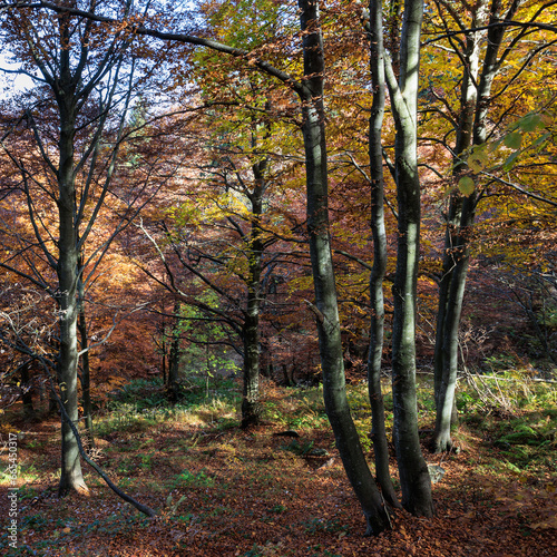 Autunno all'oasi Zegna