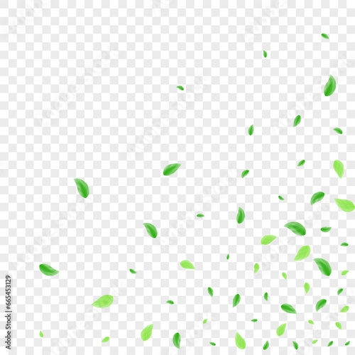 Green Vegetation Background Transparent Vector. Leaves Symbol Frame. Watercolor Design. Greenish Aroma Illustration. Foliage Space.