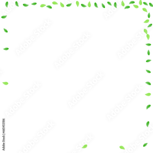 Greenish Foliage Background White Vector. Leaf Grow Frame. Figure Card. Light Green Element Illustration. Plant Isolated.