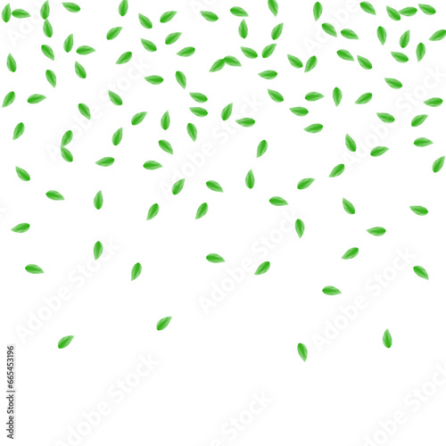 Light Green Sheet Background White Vector. Greenery Vivid Card. Wind Frame. Greenish Line Design. Leaf Herbal.