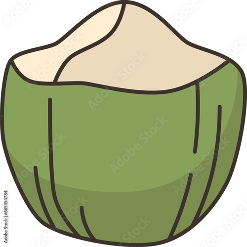 coconut  icon