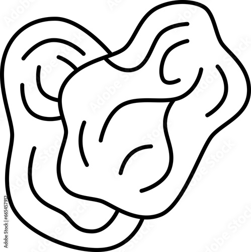 raisin  icon