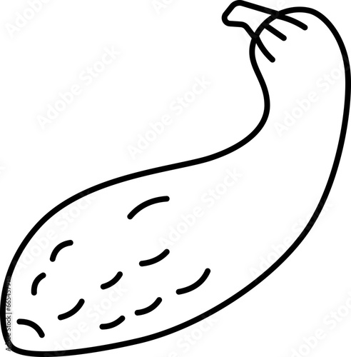 squash  icon