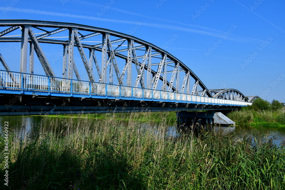 A view of a sturdy metal bridge for pedestrians and cars allowing them to cross from one coast of a vast river to anoteher located next to a bunch of reeds, herbs and other flora seen in summer