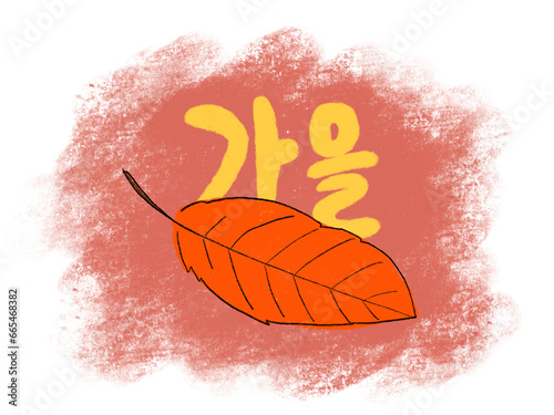 한국어 손글씨 가을과 단풍잎이 그려진 일러스트, 캘리그라피
번역:가을