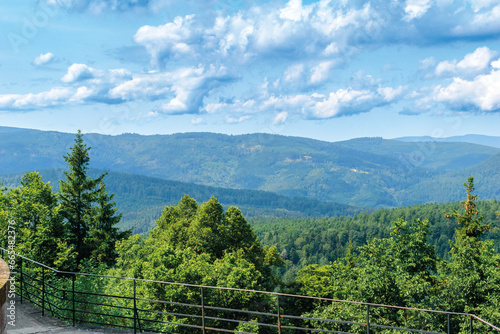 Paysage    Mont Sainte-Odile en   t  - Alsace-France