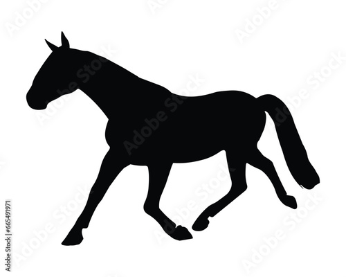 Horse Silhouette. Horse Vector Illustration.