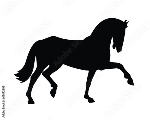 Horse Silhouette. Horse Vector Illustration.