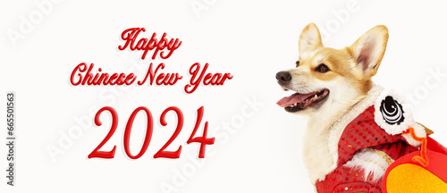 Welsh Corgi dog wearing a Chinese dragon costume, on an isolated background, studio shot. Symbol of the year according to the Chinese calendar. Year of the Dragon. New Year 2024.