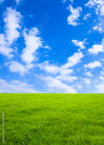 緑の草原と青空