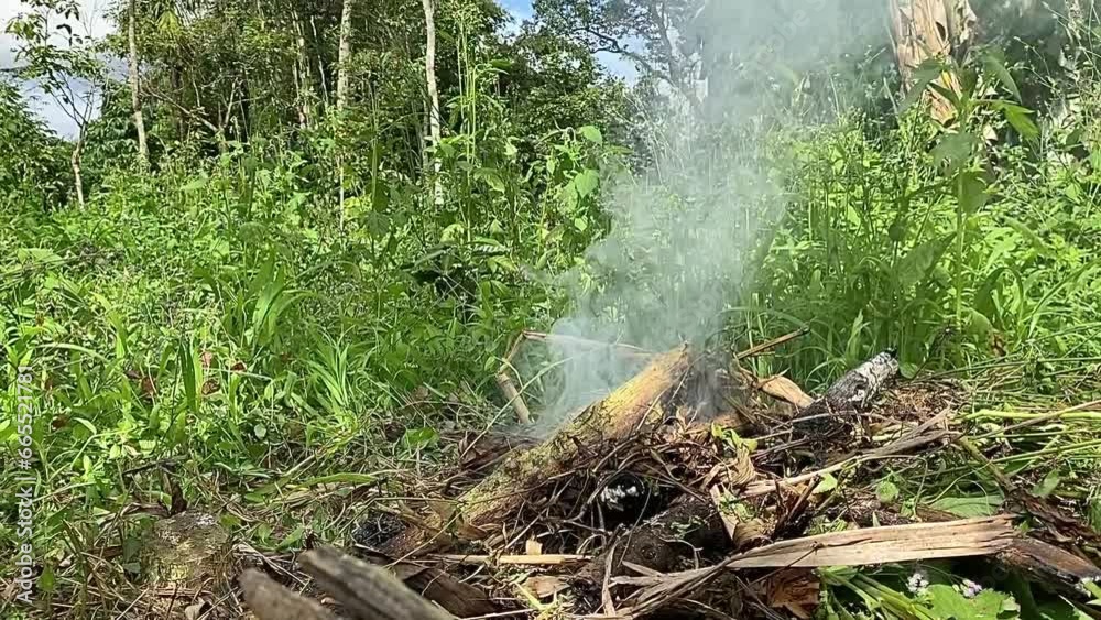 Flame on a pile of wood