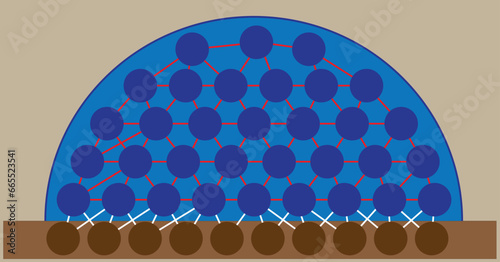 water and soil molecules under the effect of adhesion and cohesion