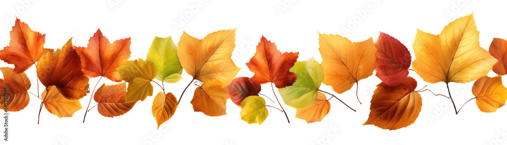 Autumn Leaves Border, Collection of Leaves Horizontal Line Isolated ...