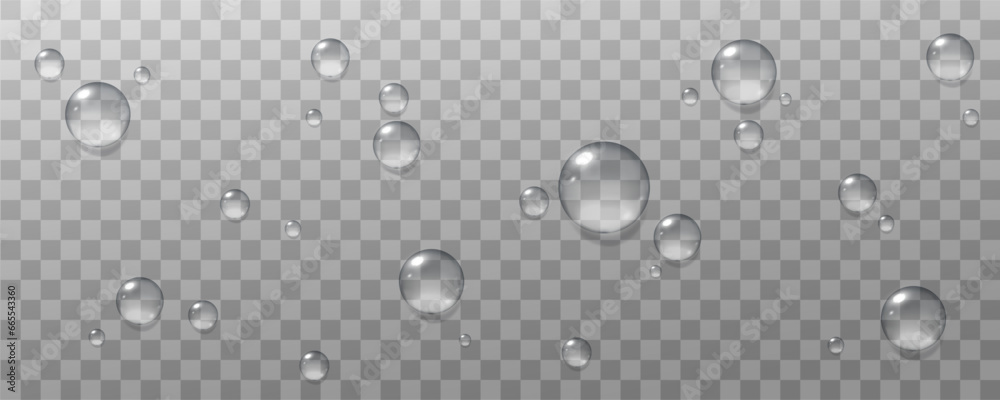 Realistic vector water drops png on a transparent light background ...