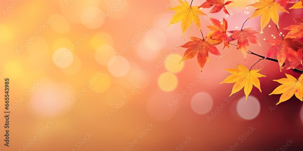 Golden splendor. Vibrant autumn leaves in sunny forest. Nature palette. Fall foliage in shades of yellow red and orange. Close up of sunlit leaf