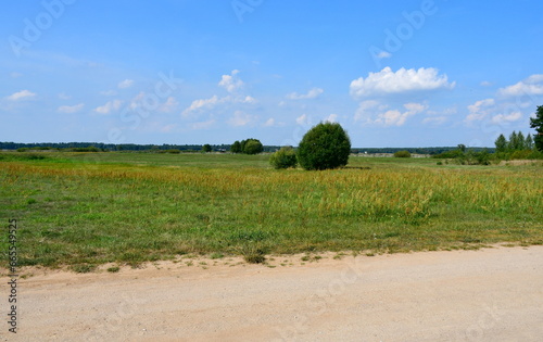 Fototapeta Naklejka Na Ścianę i Meble -  A view of a dirt path, road or walkway leading next to a vast field, pastureland, or meadow full of herbs, grass, shrubs, and trees seen on a cloudy summer day on a Polish countryside