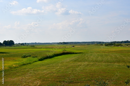 A view of a vast field, pastureland or meadow overgrown with herbs and grass located next to a lush forest or moor seen on a cloudy yet warm summer day on a Polish countryside