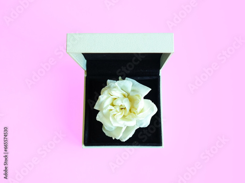 Creative layout made of white rose in jewelry box on pastel pink background. Minimal spring concept. Creative spring idea. Flowers frame. Flat lay. Copy space. Mock up. Romantic present. Woman's day.