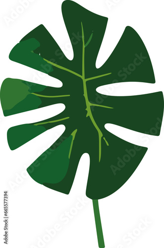A vibrant and simplistic illustration of tropical leaves in vector form, bringing a touch of paradise to any design.