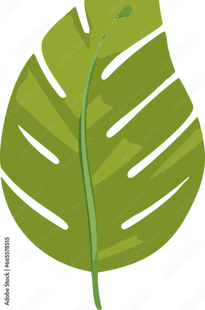 Minimalistic vector illustration of tropical leaves. Minimalistic vector illustration of tropical leaves.