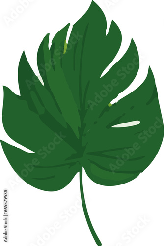 Minimalistic tropical leaf vector design. Embracing simplicity, exuding vibrant hues, and capturing the essence of tropical flora in a clean and elegant format.