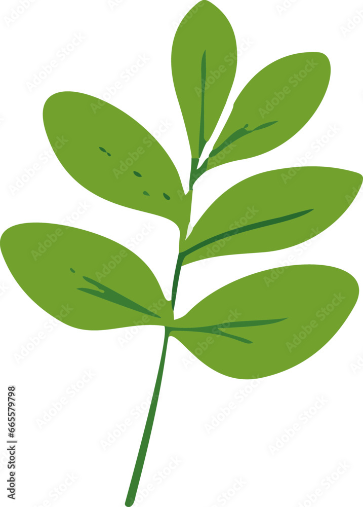 Minimalistic vector illustration of tropical leaves. Minimalistic vector illustration of tropical leaves.