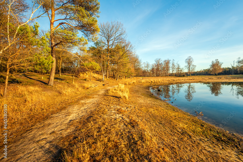 Shore of a Dutch lake in low orange sunlight at the beginning of a winter morning. The blue sky and the trees at the edge of the lake are beautifully reflected in the mirror-smooth water surface. Shore of a Dutch lake in low orange sunlight at the beginning of a winter morning. The blue sky and the trees at the edge of the lake are beautifully reflected in the mirror-smooth water surface.