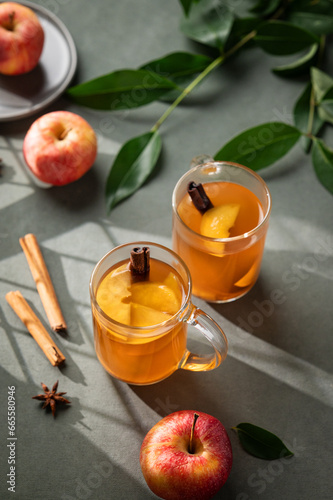 Homemade apple punch with fresh apples, cinnamon and spices in cups on a green background with fresh fruits, branch and morning shadows. A hot healthy autumn drink.