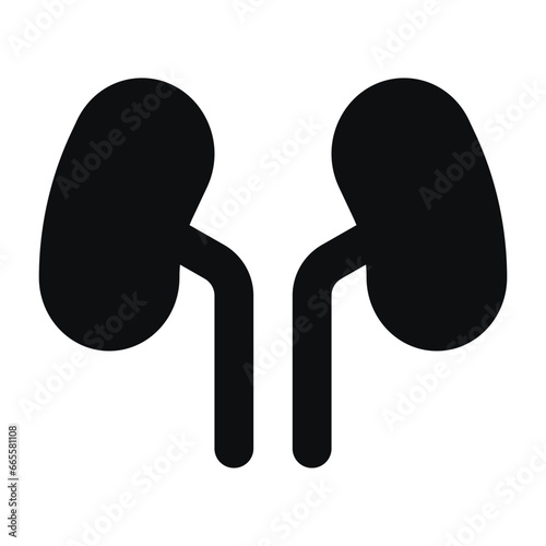 kidneys icon