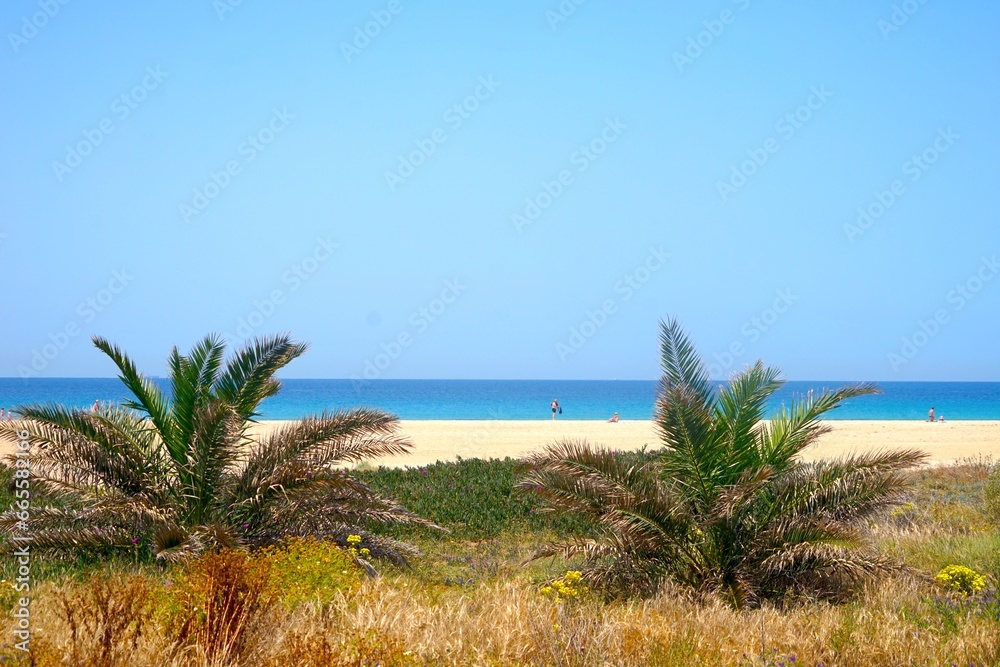 palms and beach in Tarifa at a beautiful summer day, Playa de los Lances, tourism, palms, Playa Santa Catalina, Andalusia, province of Cádiz, Spain palms and beach in Tarifa at a beautiful summer day, Playa de los Lances, tourism, palms, Playa Santa Catalina, Andalusia, province of Cádiz, Spain