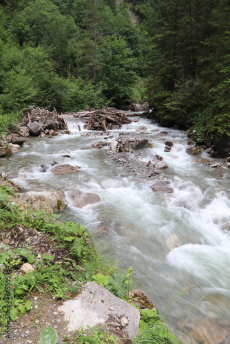 fast flowing mountain river with driftwood stuck against large boulders
