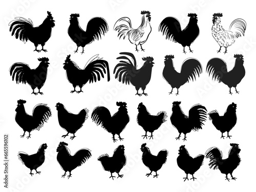 Set of cartoon silhouettes chicken hen rooster poultry farm animal icon character vector illustration.