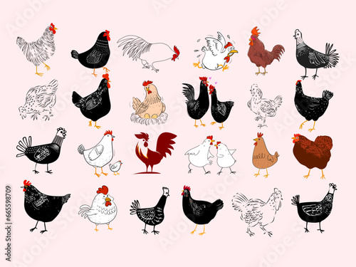 Set of cartoon chicken hen rooster poultry farm animal icon character vector illustration.