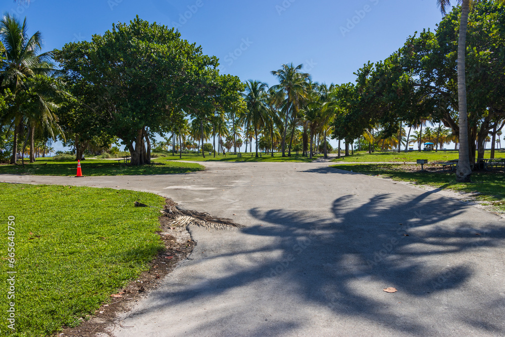 Obraz premium a stunning summer landscape at Crandon Park along a footpath with lush green palm trees and grass, people walking and a gorgeous clear blue sky in Key Biscayne Florida USA
