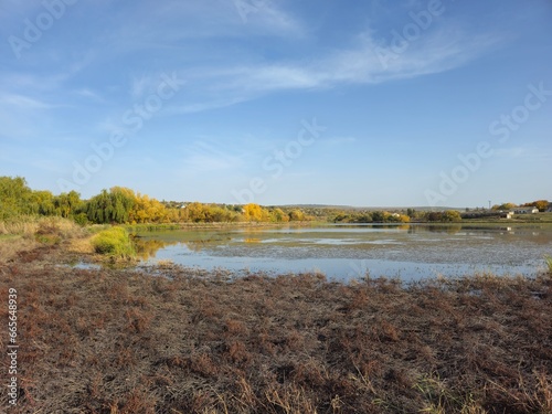 Fototapeta Naklejka Na Ścianę i Meble -  A river with trees and grass
