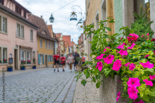 Fototapeta Naklejka Na Ścianę i Meble -  Pink flowers and green leaves in the historical centre of Rothenburg, Bavaria, Germany, one of the medieval villages of the famous Romantic Road. Tourists on the blurred background.