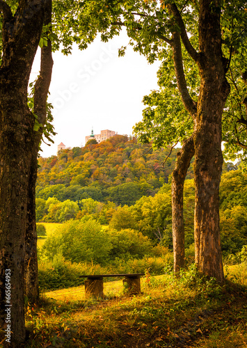 Buchlov castle, autumn, road, forest, trees, landscape, field photo