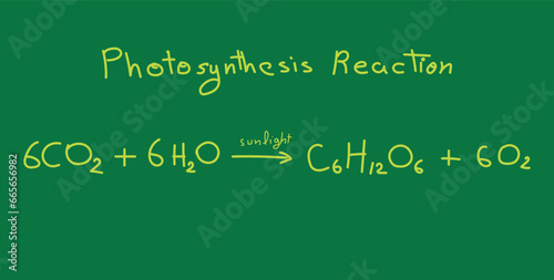 Photosynthesis equation. Carbon dioxide, water, sugars and oxygen. Chemical reaction with reactants and products. Chemical resources for teachers and students. Scientific doodle handwriting concept.